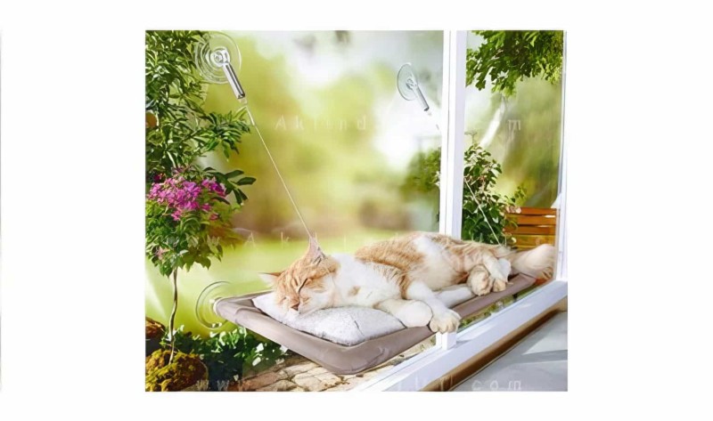 Cama Asılan Kedi Pencere Yatağı Petzoom (özel Güçlü Vantuzlu Model) - 2