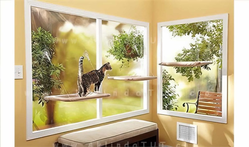 Cama Asılan Kedi Pencere Yatağı Petzoom (özel Güçlü Vantuzlu Model) - 3