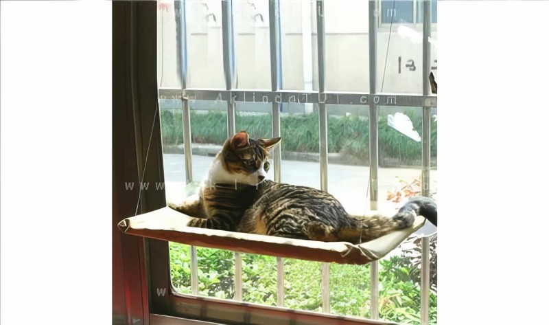 Cama Asılan Kedi Pencere Yatağı Petzoom (özel Güçlü Vantuzlu Model) - 4