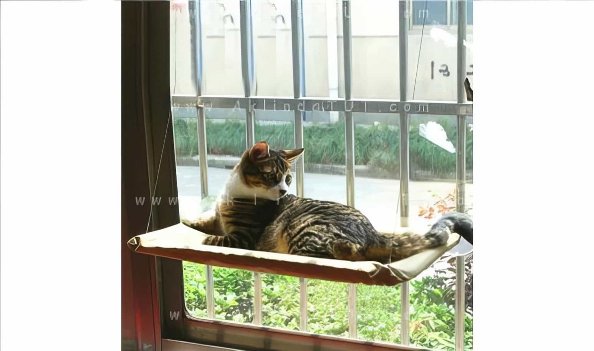 Cama Asılan Kedi Pencere Yatağı Petzoom (özel Güçlü Vantuzlu Model) - 4