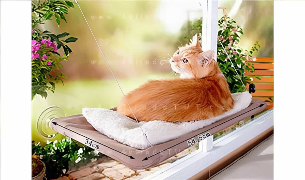 Cama Asılan Kedi Pencere Yatağı Petzoom (özel Güçlü Vantuzlu Model) - 5