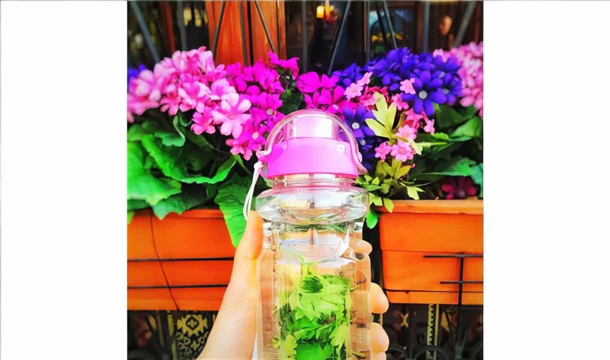 Detoks Matara Sağlıklı Yaşam Matarası 750ml - 2