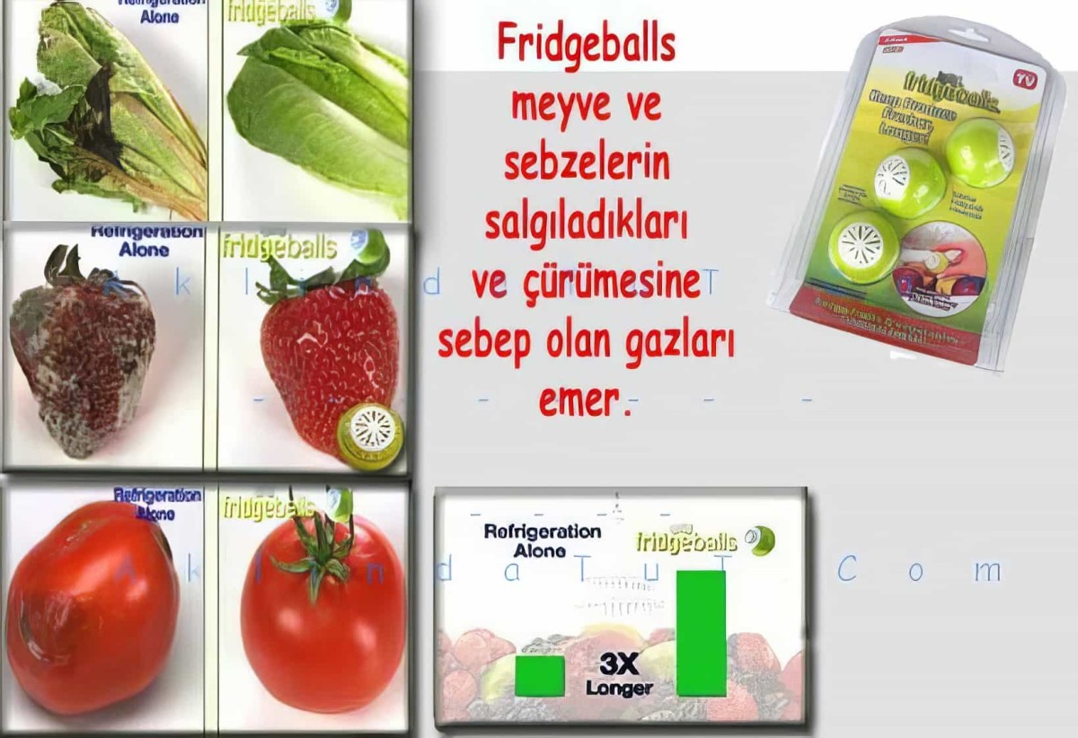 Fridgeballs Buzdolabı Gıda Tazelik Koruyucu Toplar 3 Adet Bırden - 1