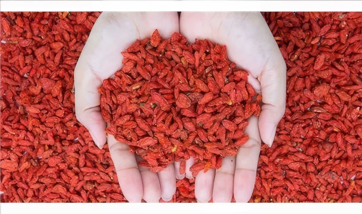 Goji Berry Poşet Çay 45 Adet Kurt Üzümü Çayı (form Çayı) - 4