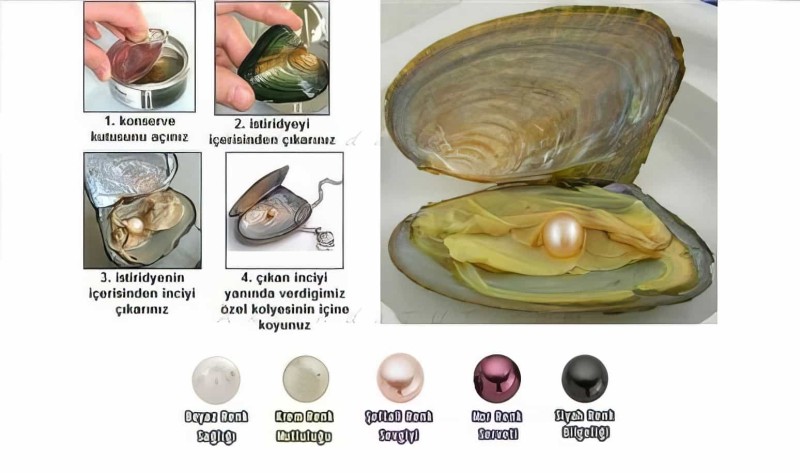 İstiridye İçinden Çıkan Gerçek İnci Ve Kolye-küpe-yüzük Seti Aşk-incisi - 4