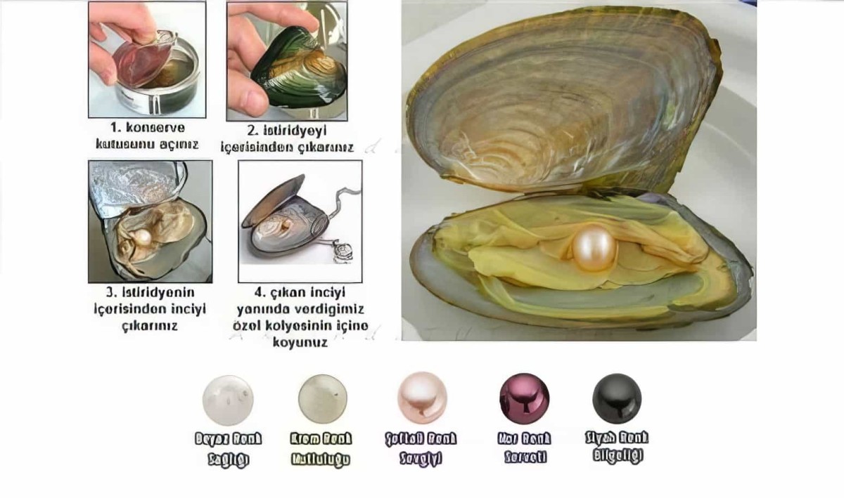 İstiridye İçinden Çıkan Gerçek İnci Ve Kolye-küpe-yüzük Seti Aşk-incisi - 4