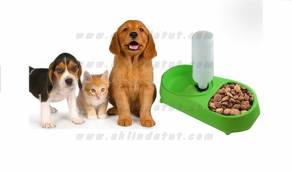 Kedi Köpek Otomatik Su Ve Mama Kabı Finepet Pet Feeder - 5