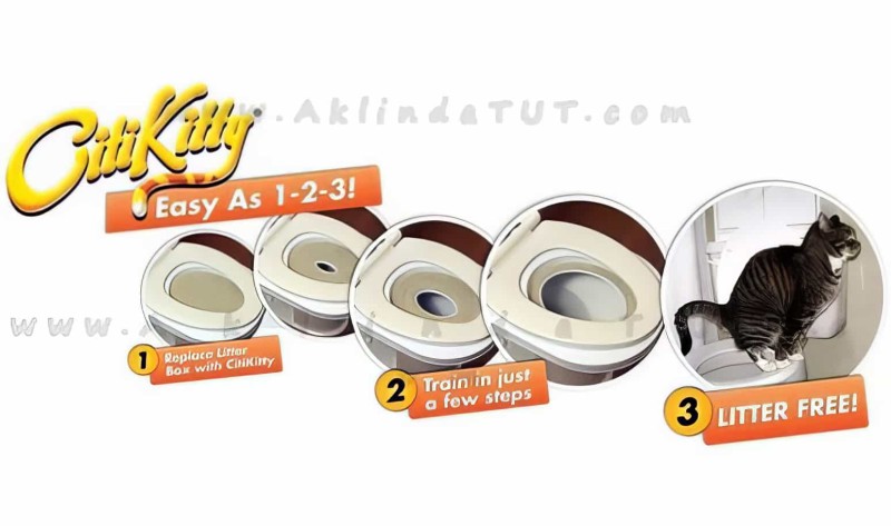 Kedi Tuvalet Eğitim Seti Citikitty - 3