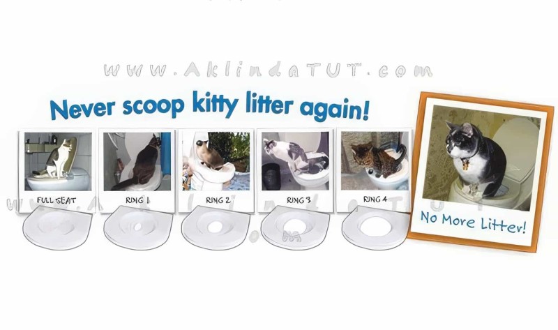 Kedi Tuvalet Eğitim Seti Citikitty - 5