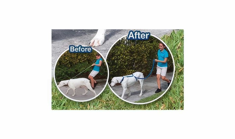 Köpek Eğitim Tasması Instant Trainer Leash - 2