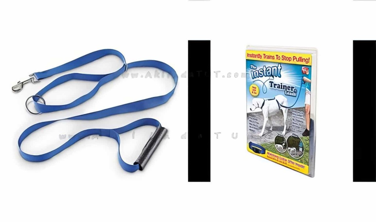 Köpek Eğitim Tasması Instant Trainer Leash - 3