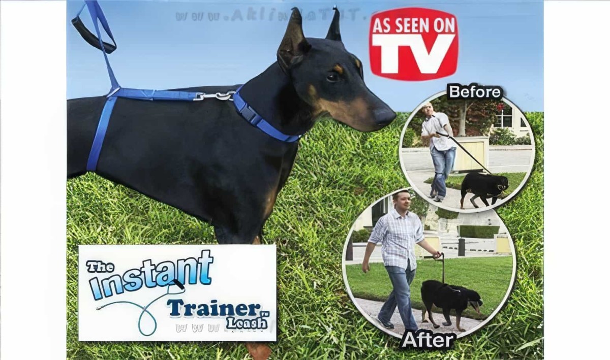 Köpek Eğitim Tasması Instant Trainer Leash - 4