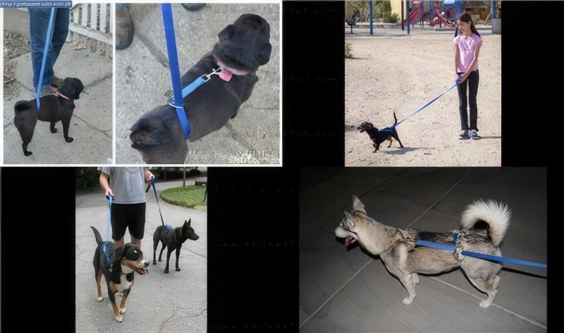 Köpek Eğitim Tasması Instant Trainer Leash - 5