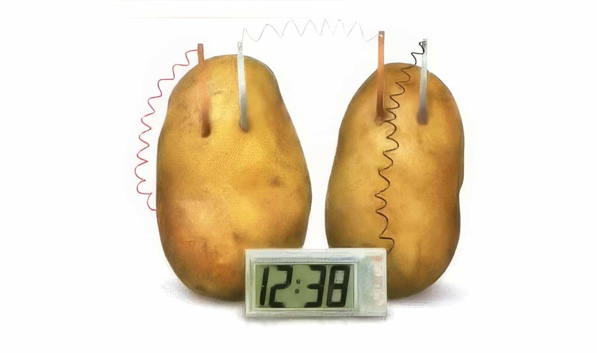 Patates Saati (Deney Yapmayı Sevenlere) - 2
