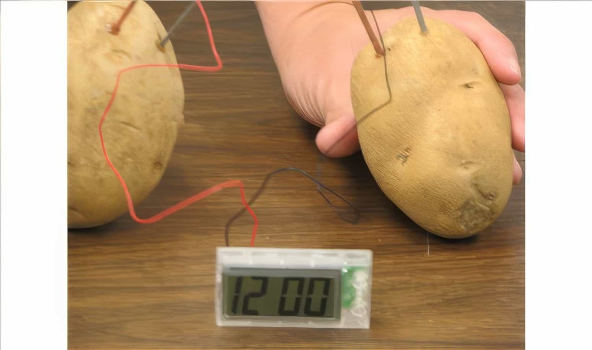Patates Saati (Deney Yapmayı Sevenlere) - 4