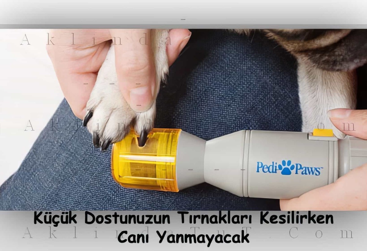 Pedi Paws Kedi Ve Köpekler İçin Tırnak Düzeltici - 4