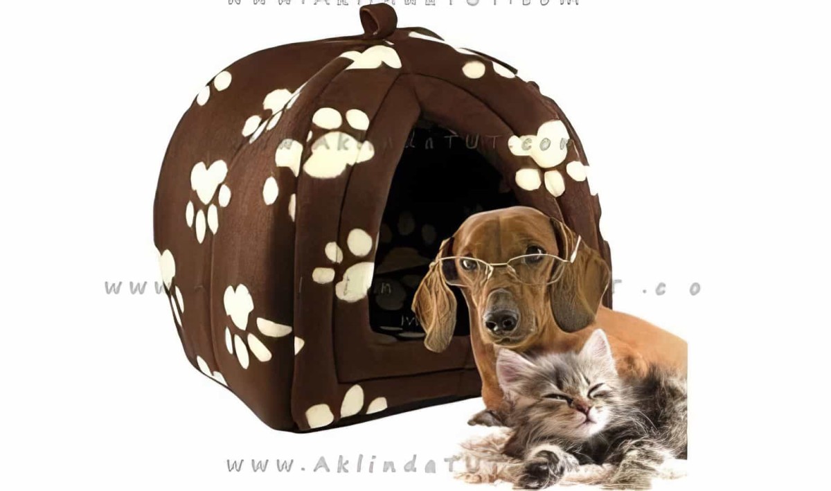 Pet Hut Polar Kedi Ve Köpek Yatağı - 1
