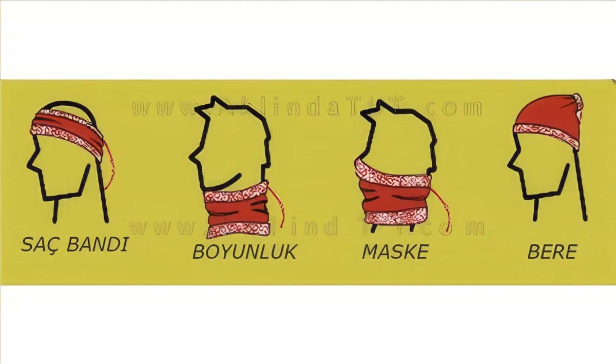 Polar Bere & Boyunluk - 6