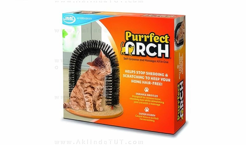 Purrfect Arch Kedi Tırmalama Ve Kaşınma Tahtası - 2