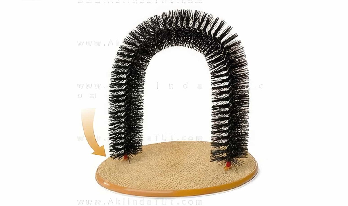 Purrfect Arch Kedi Tırmalama Ve Kaşınma Tahtası - 3