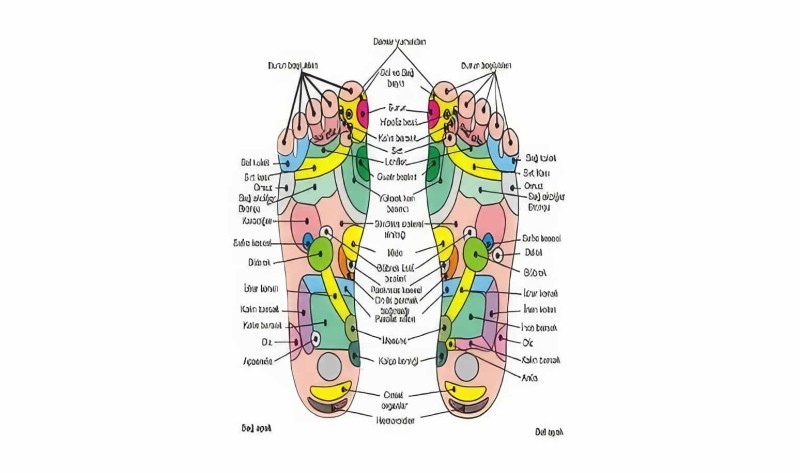 Refleksoloji Özellikli Masaj Terliği Massage Slipper - 2