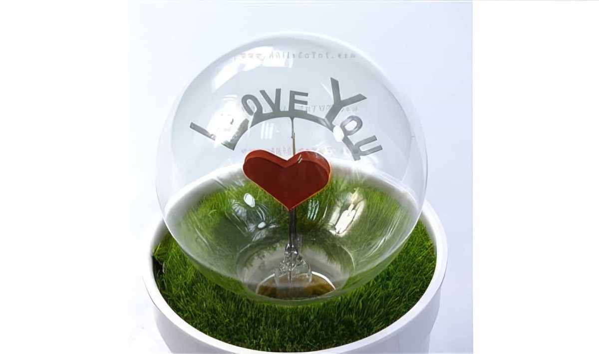 Romantik Aşk Saksı Gece Lambası Kalp- I Love You Lamp - 3
