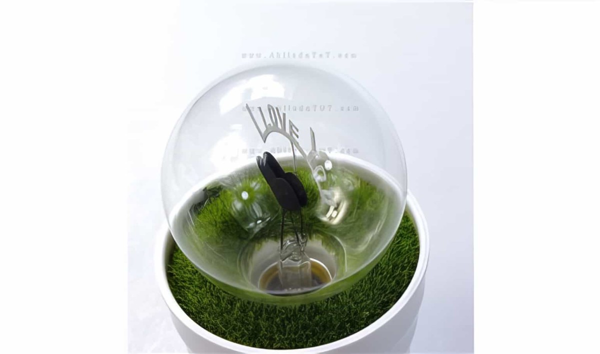 Romantik Aşk Saksı Gece Lambası Kalp- I Love You Lamp - 5