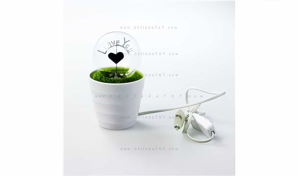 Romantik Aşk Saksı Gece Lambası Kalp- I Love You Lamp - 6
