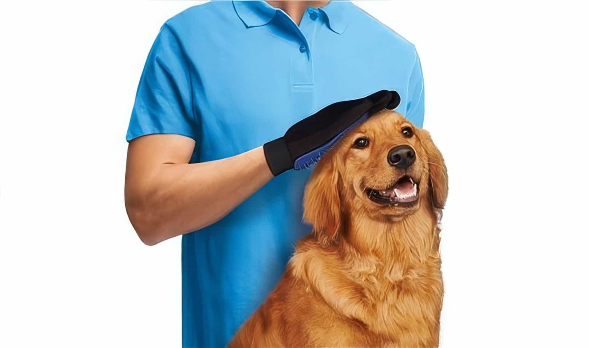 True Touch Kedi Köpek Tüy Toplama Eldiveni - 2