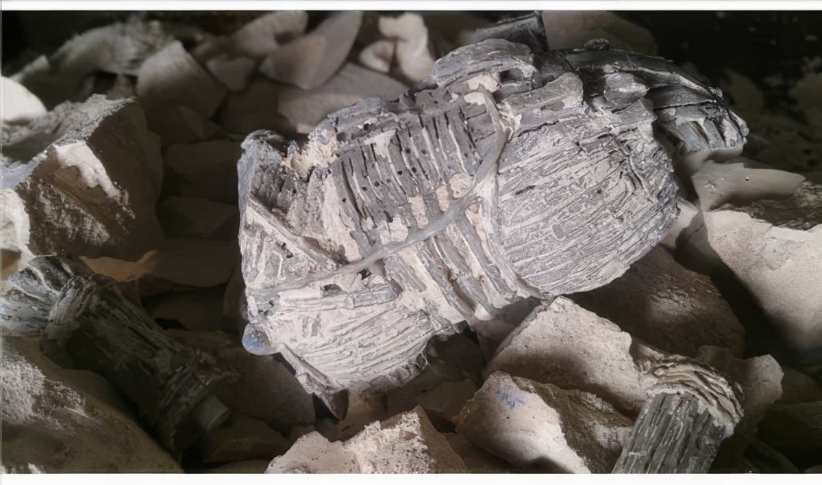 Truva Atı Arkeolojik Kazı Seti - Troy Horse Excavation Kit - 4