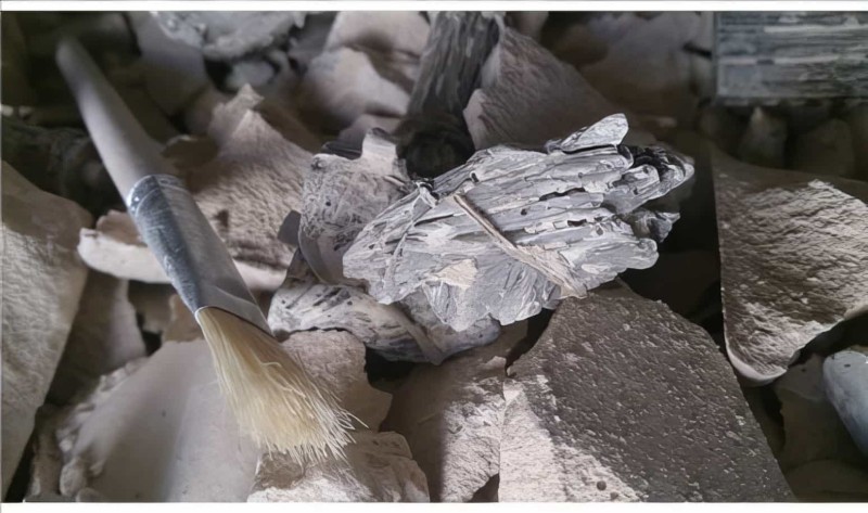 Truva Atı Arkeolojik Kazı Seti - Troy Horse Excavation Kit - 5