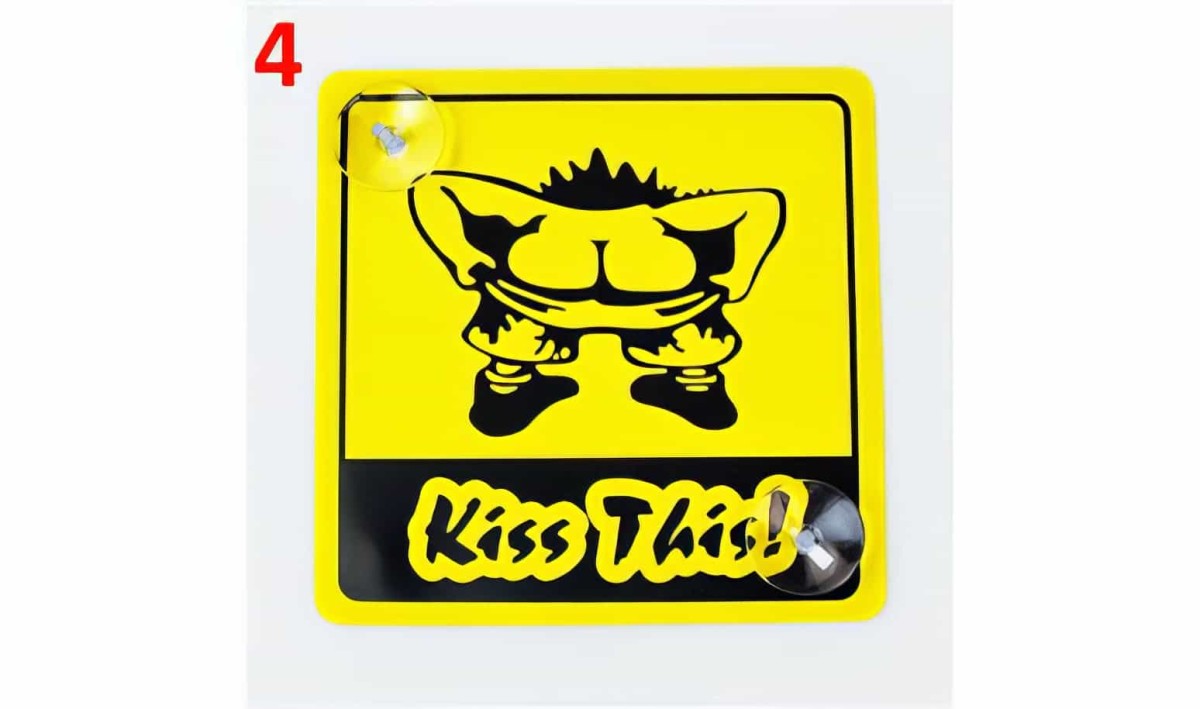 Vantuzlu Araç Cam Uyarı Stickerları - 5
